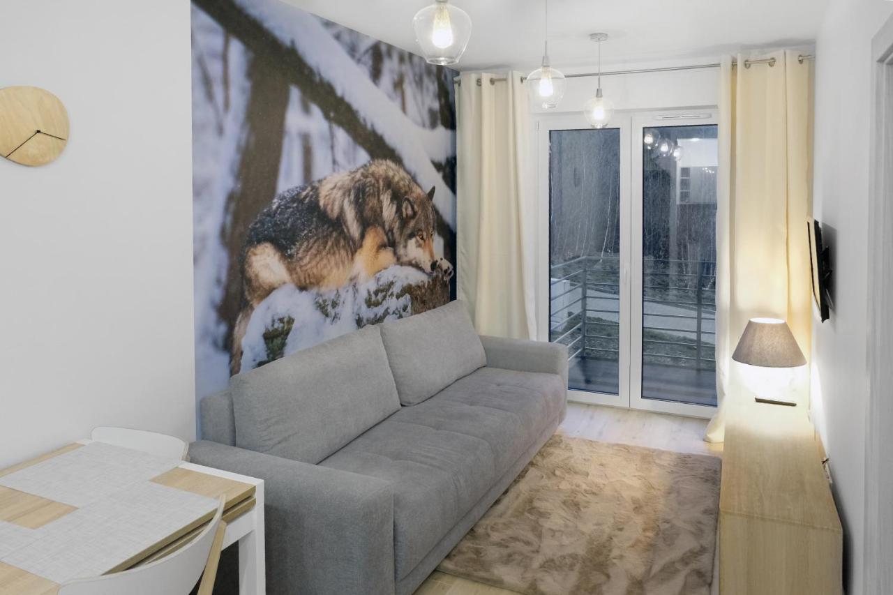Apartament Szary Wilk Świeradów-Zdrój Kültér fotó